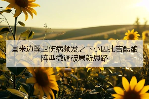 国米边翼卫伤病频发之下小因扎吉酝酿阵型微调破局新思路